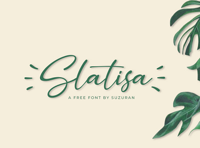 Slatisa Script Font branding calligraphy casual elegant font font free project script