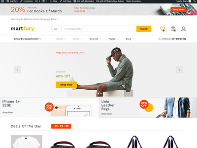 I will design ecommerce website or online store with WordPress 3