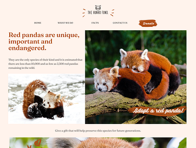 Save the red pandas! blocky brown cute design flat graphic design orange red panda ui ux vector web webdesign website