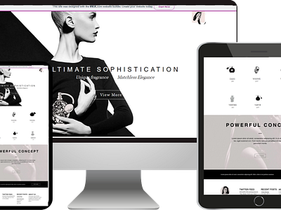 Cosmetics Website design website wix
