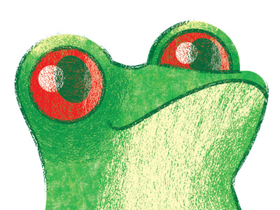 Crocodile Creek- Frog frog