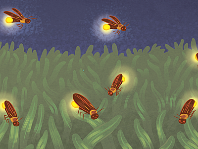 Lightning bugs firefly grass lightning bugs night
