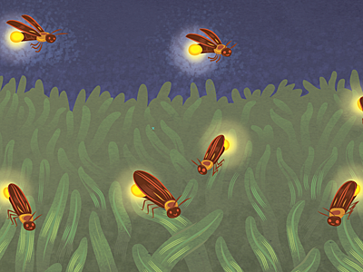 Lightning bugs