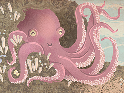 Octopus