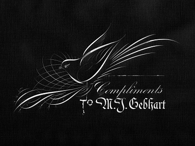 Compliments to M. J. Gebhart (Offhand Flourishing) americana calligraphy dip pen handwriting lettering offhand flourishing penmanship traditional art typography