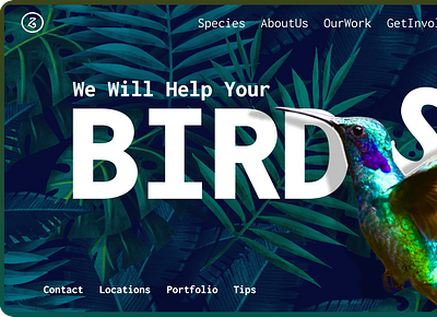 🐦Birds Website (Hero) UI Design 3d animation branding design figma figma design graphic design illustration motion graphics ui ux web design web development