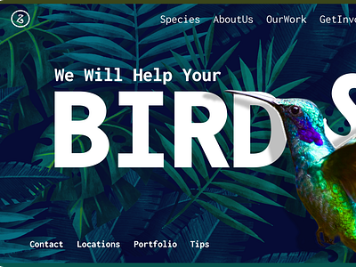 🐦Birds Website (Hero) UI Design