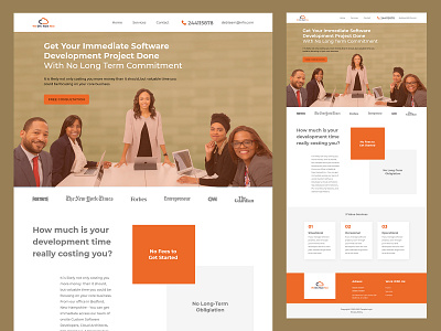 Software development company website UI design