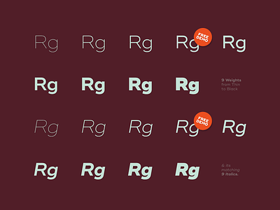 Ridley Grotesk #2 design font free type typography