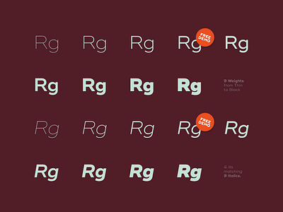 Ridley Grotesk #2