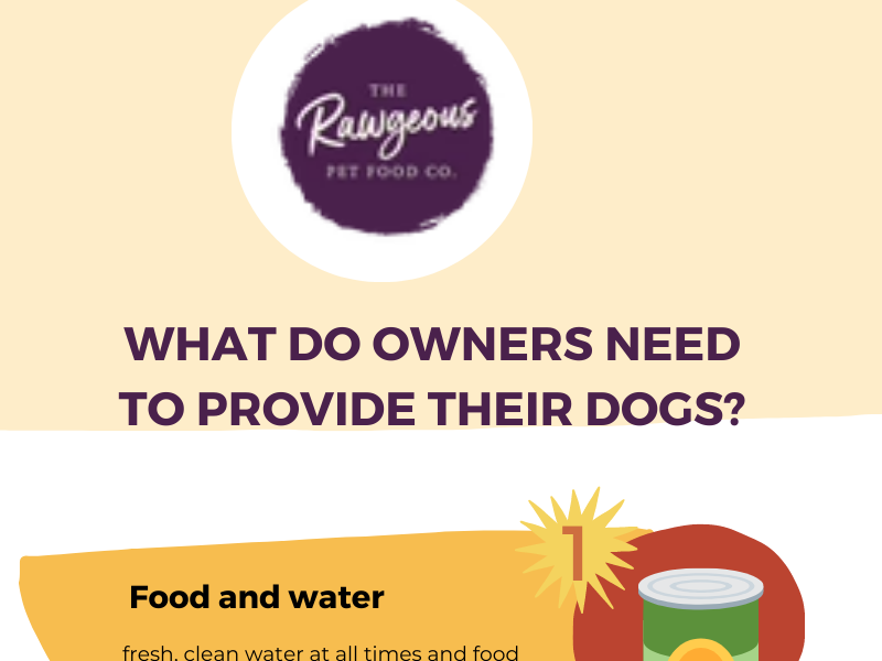 What Do Owners Need to Provide Their Dogs? by Raw geouspet Food on Dribbble