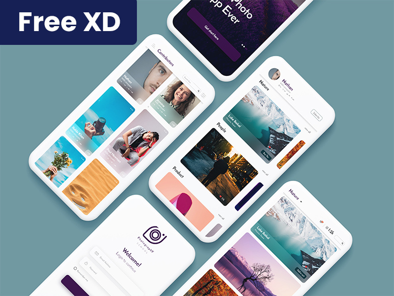 Photography portfolio App Design new concept flicker portfolio app photographer trendy app xd file free ui free app photogrpahy photo ui design ui concept app