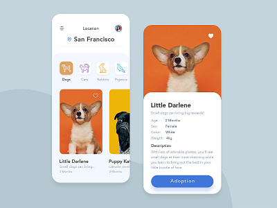 Pet Adoption App Concept app clean design ios mobile pet lover pets adoption ui ux white
