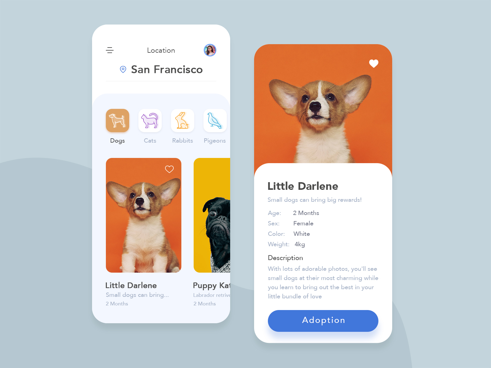 Pet Adoption App Concept by Gajraj Kumar on Dribbble