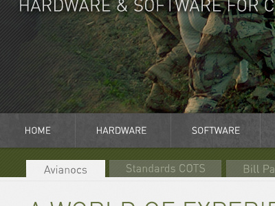 Website for Hardware/Software Co. green military website