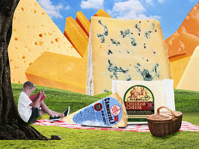 Trader Joe's Cheese cheese collage design illustration landscape mountain picnic
