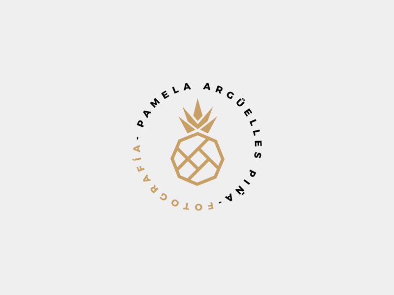 Logo for Pamela Arguelles Photography animated logo brand branding identity logo logotype marks photography pineapple shot symbols