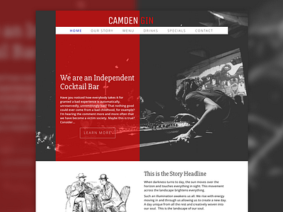 Camden Gin Home Page Design alcohol briefbox design gin grid sketch web website