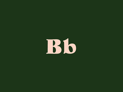 Bb experimental type hand lettering icon illustration lettering serif typography