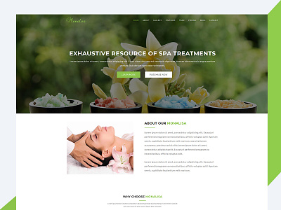 Monalisa – Health & Beauty Bootstrap Template beauty bootstrap business css html html template revolthemes spa web web design