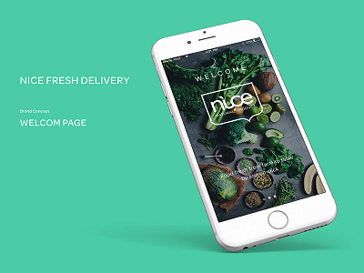 Nice Fresh Delivery - Branding & UI Design app branding logo ui ux web