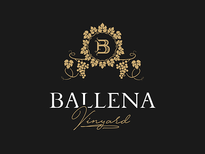 Ballena b grape letter vine vineyard vinyard wine