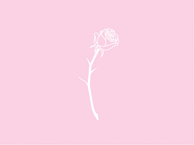 Pink Rose by jjxoriginals on Dribbble