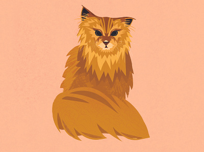Norwegian Forest Cat brushes illustrator kitty orange photoshop