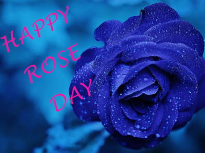 Happy Rose Day Images 2023 Status happyroseday roseday2023 rosedayimages rosedayquotes