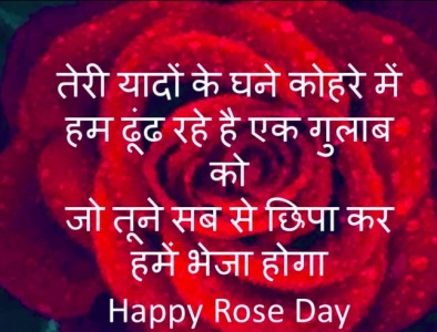 Rose Day Shayari Status in Hindi 2023 roseday2023 rosedayshayari rosedayshayariinhindi rosedaystatus rosedaywhatsappstatus