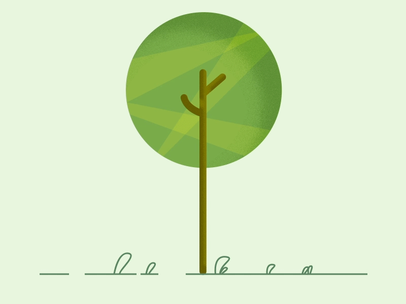 infinite tree 2d after effects animacion animation design illustration mograph motion vector