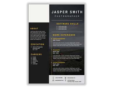 Professional cv editable template for professionals and executiv