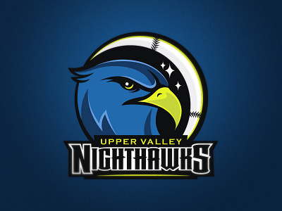 Nighthawks Logo