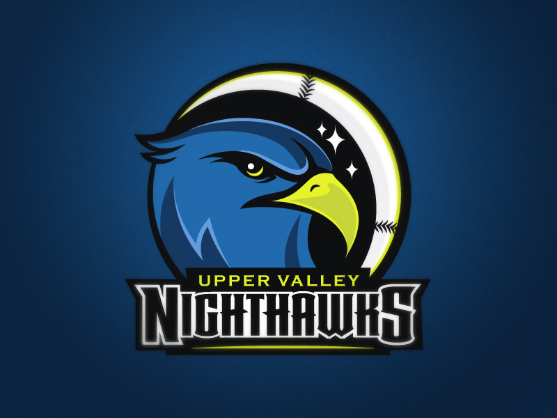 Nighthawks Logo By Steph Sohn On Dribbble