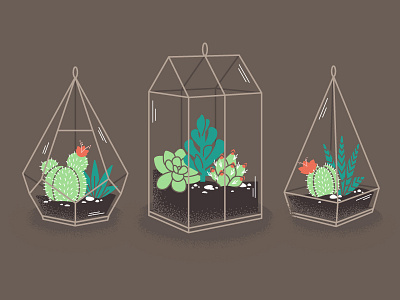 Terrariums cactus glass succulent terrarium vector