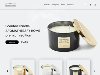 Website UI : E-commerce web header