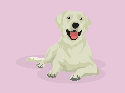 Labrador branding design illustration pet vector