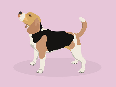 Beagle beagle branding design dog illustration vector