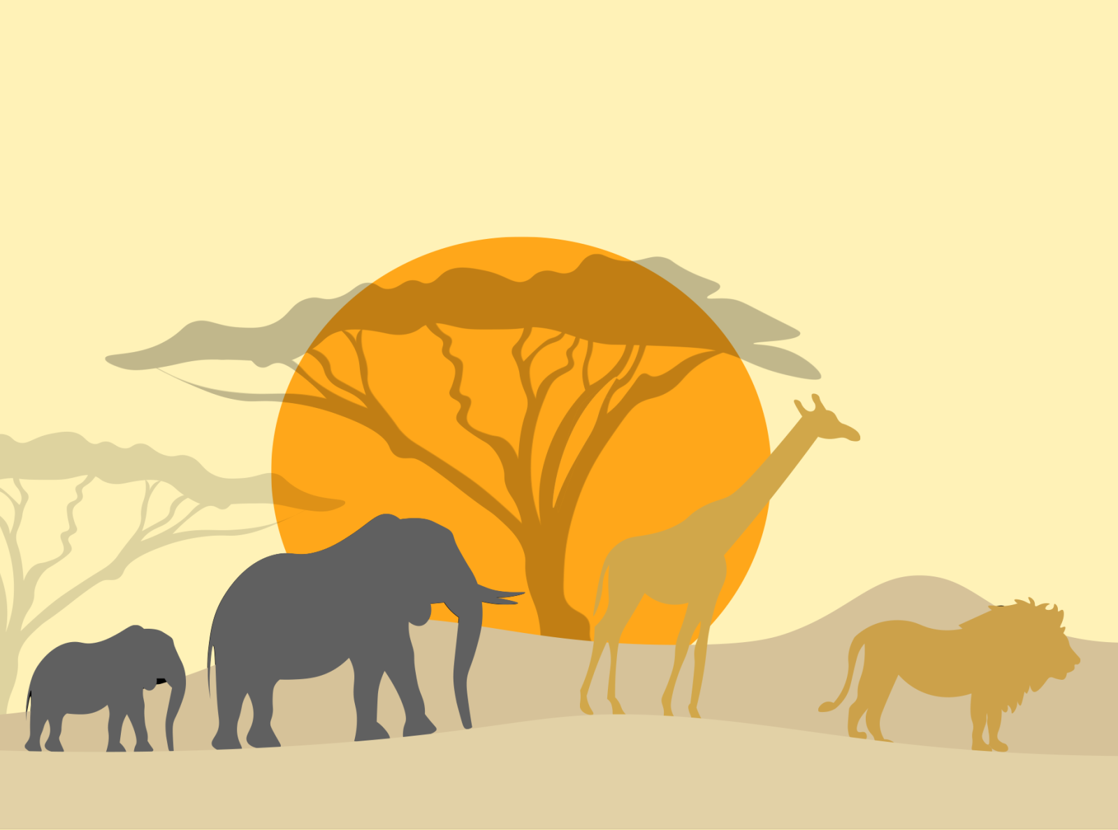 Safari By Harriet Leech On Dribbble