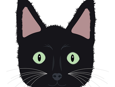 Dobby cat illustrations pet vector