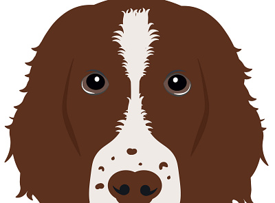 Holly Woo design dog illustration personalised pet springer vector