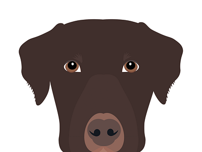 Kaiser dog illustration personalised pet