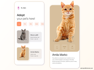 Pets Adoption App accessible color theory mobile pets ux