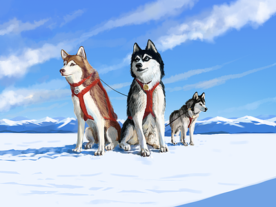 Kings of the North art cold concept art design dogs husky illustration mountain north painting winter