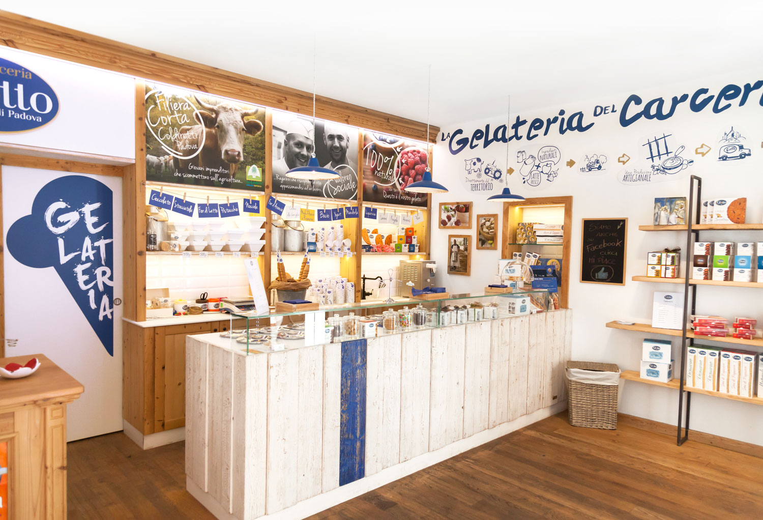 Silvia Sguotti Projects Giotto Ice Cream Shop Dribbble