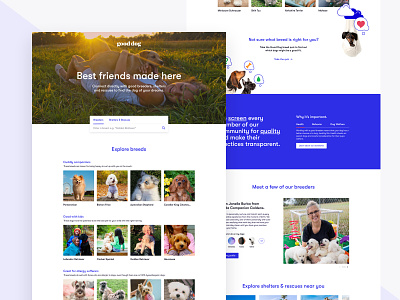 Good Dog Homepage dogs homepage design illustration puppies ui ui design web design