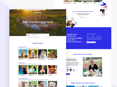 Good Dog Homepage