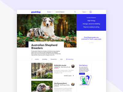 Dog Breeder Results cards dogs results search ui design ux design