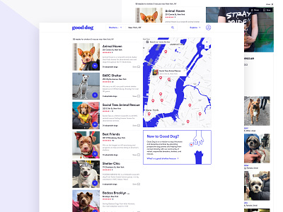 Shelter Results adopt dogs cards dog rescue map results search results ui design ux design web design