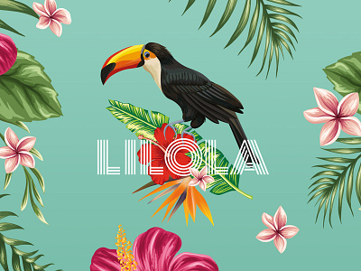 tropicool campaign - lilola bird branding campaign graphic design jungle summer tropical